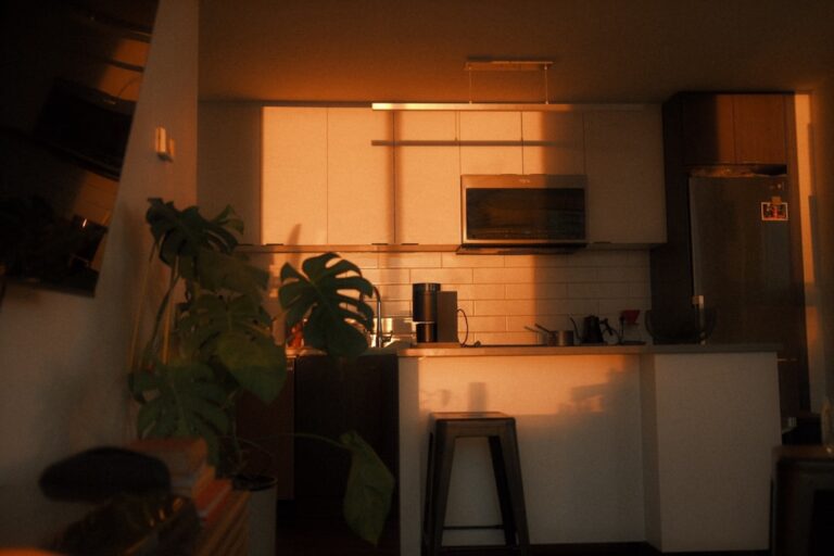 Exploring the Latest Trends in Household Appliance Designs and Technologies